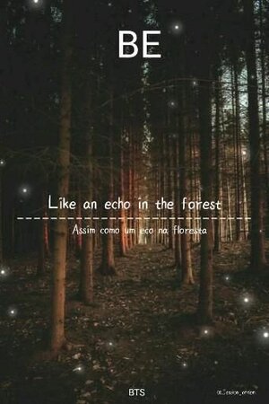 Echo in the Forest photo